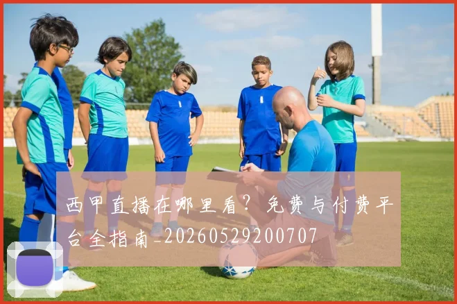 西甲直播在哪里看?免费与付费平台全指南_20260529200707