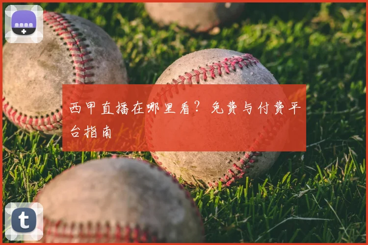 西甲直播在哪里看？免费与付费平台指南